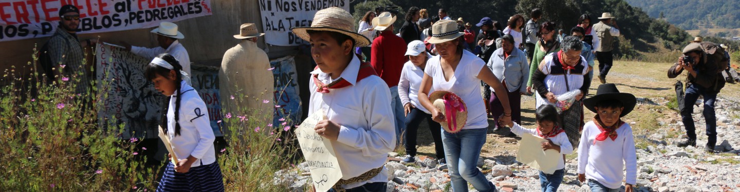 A Struggle for Land Rights in Mexico