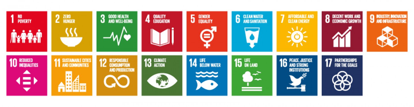 SDG banner