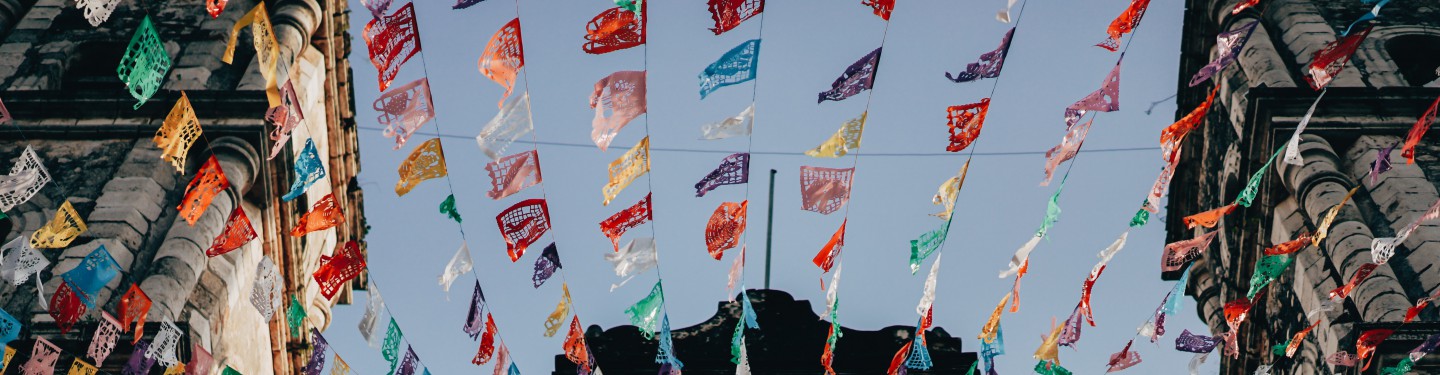 Flags in Mexico