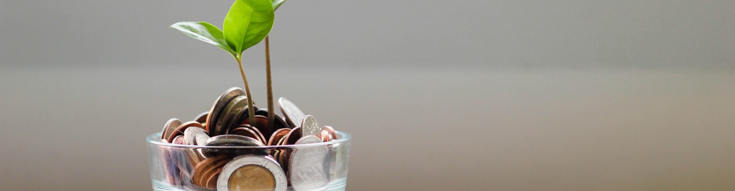 A plant grows out of coins
