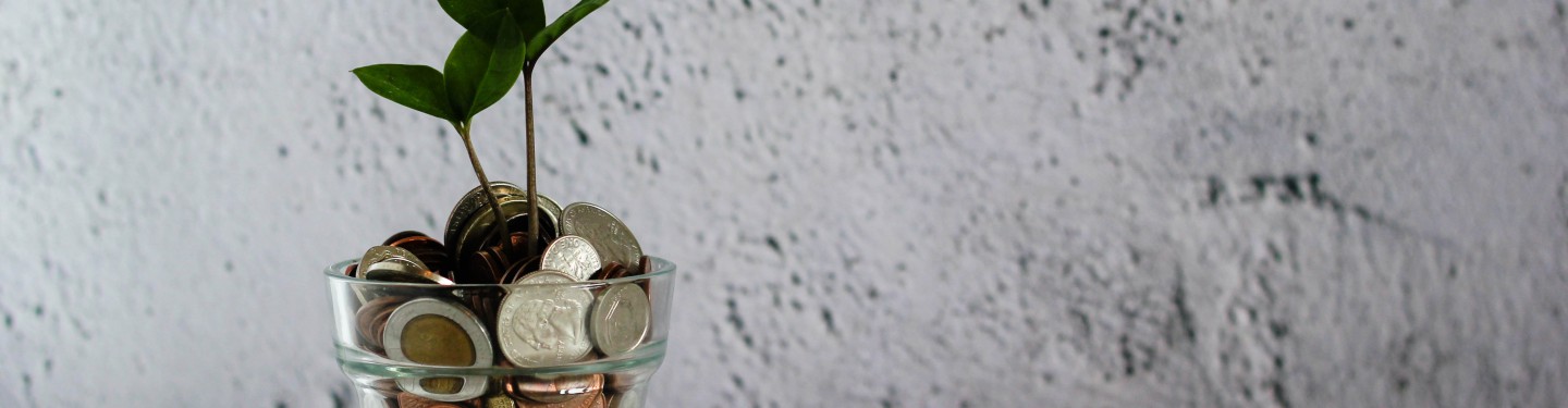 Green plant growing on coins