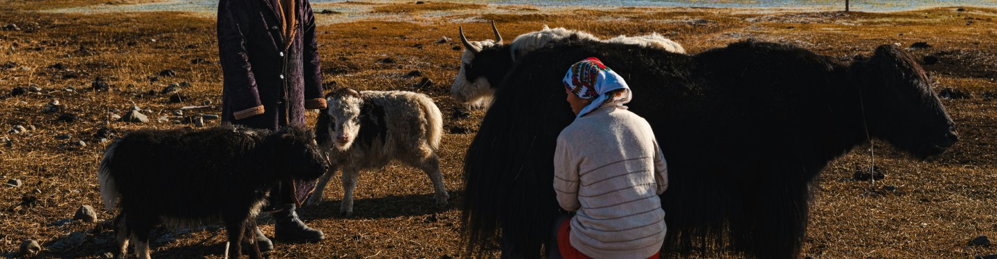 People in Mongolia