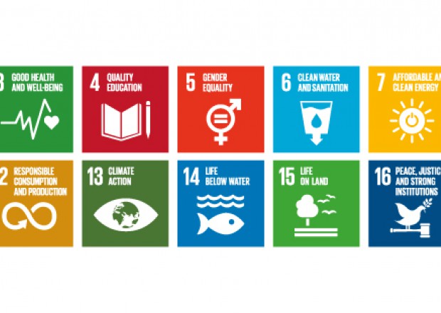 SDG banner