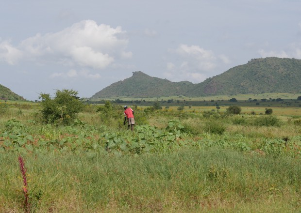 Man working on a field in Uganda