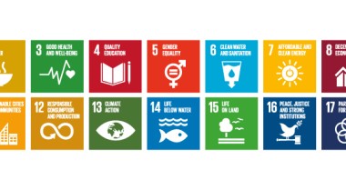 SDG banner