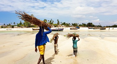 People walking on the beach in Mozambique