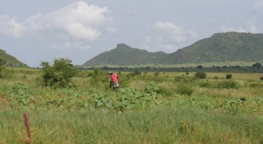 Man working on a field in Uganda