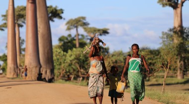 Women walking on a road