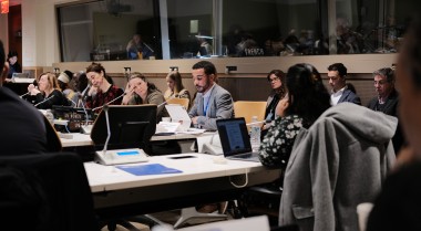 GPPAC delegate at the UN