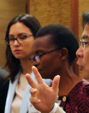 International Steering Group meeting 2018.png Thumbnail